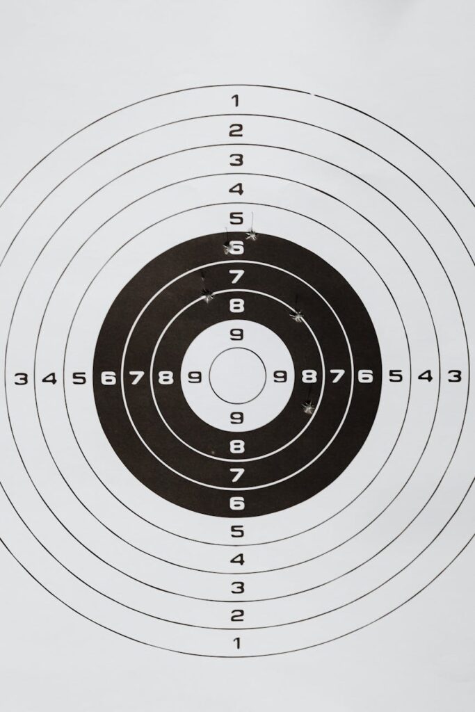 white and black target in close up shot